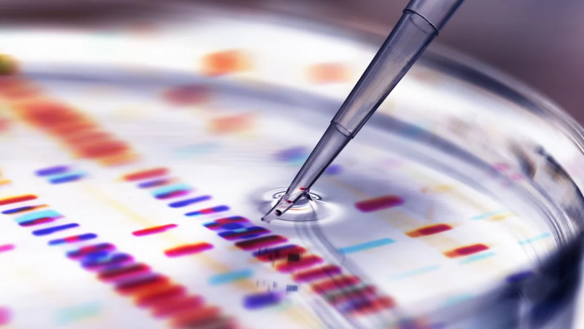 A Comprehensive Analysis of Humor’s Efficacy in Scientific Conference Presentations Reveals Low Success Rates and Key Engagement Drivers.