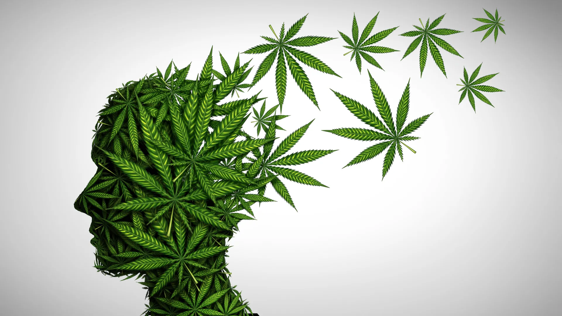 Cannabis Consumption Significantly Disrupts Memory Formation and Recall, New Study Reveals