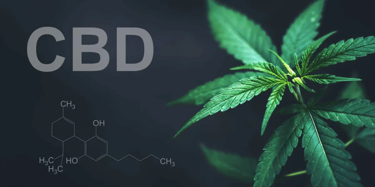 New trial suggests CBD oil could lower anxiety in autistic children and reduce parenting stress