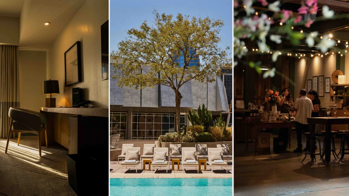 Sacramento Ascendant How Californias Capital Transformed into a Global Culinary and Cultural Destination for 2026