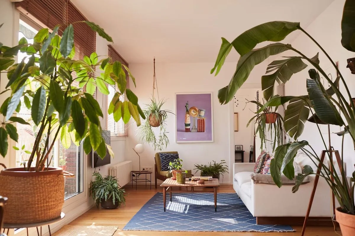 The Best Design-Forward Barcelona Airbnbs for a Stylish and Authentic Catalan Experience