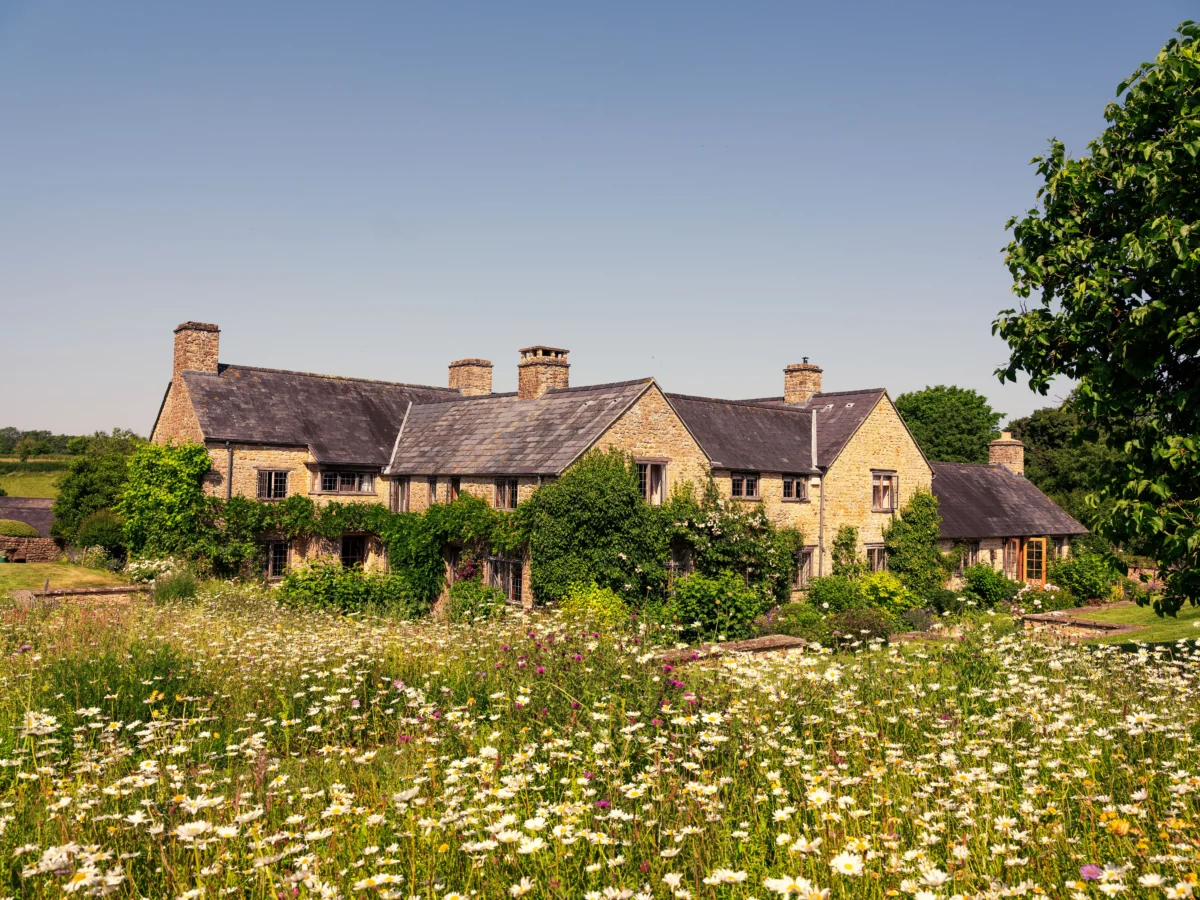 The Cultivation of Heritage and Wildness at the Boden Estate in Dorset