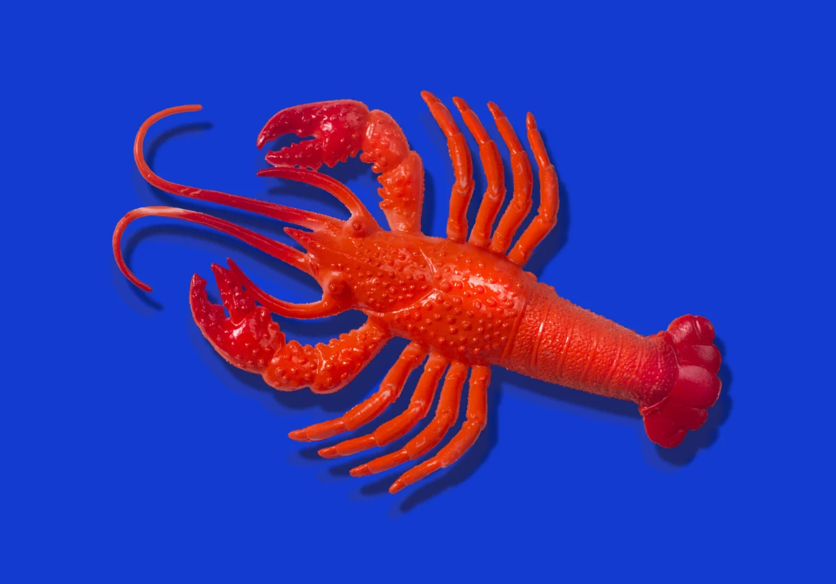 Anthropic Adjusts Claude Code Third-Party Tool Pricing, Sparking Debate Among Developers and Intensifying AI Competition