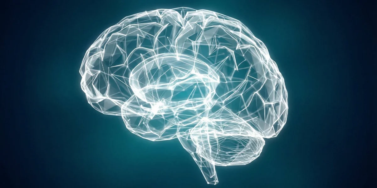 Grammar Acquisition in Preschool Children is Related to White Matter Maturation of the Dorsal Language Network