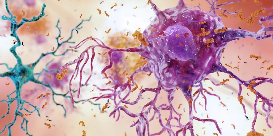 Researchers Discover Alzheimer’s Physical Movement Issues May Originate Outside the Brain Through Advanced Neuromuscular Modeling