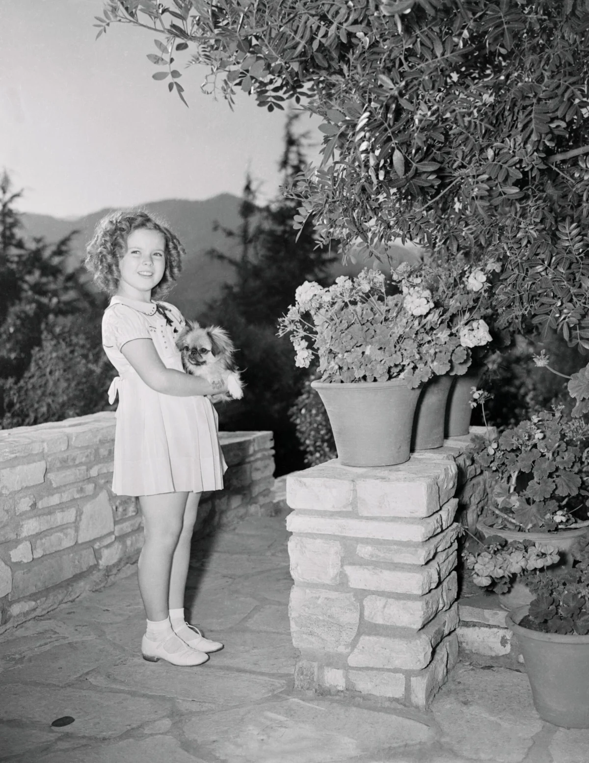 The Homes of Shirley Temple From Child Star Sanctuary to Diplomatic Residencies