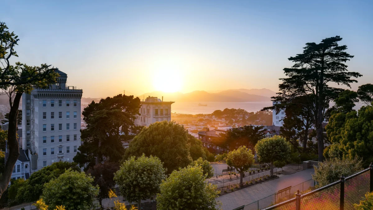 The Ultimate Guide to San Francisco Exploring the Cultural Landmarks and Economic Evolution of the Seven Square Mile City