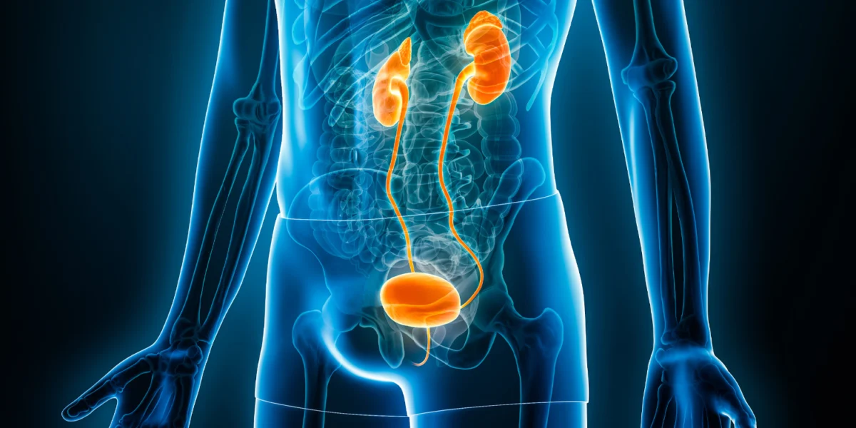 Urological symptoms following ketamine treatment for psychiatric disorders A systematic review