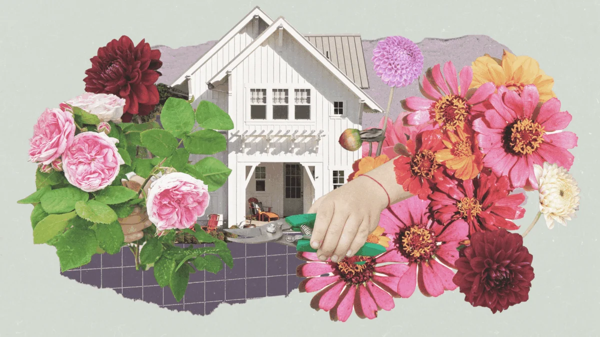 Cultivating the Season: A Comprehensive Guide to the 21 Best Summer Flowers for Every Garden