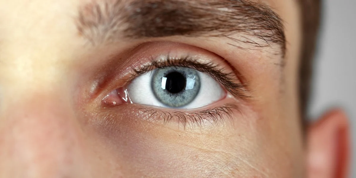 Eye of the beholder: Pupillary response reflects how subjective prior beliefs shape reinforcement learning with fake news.