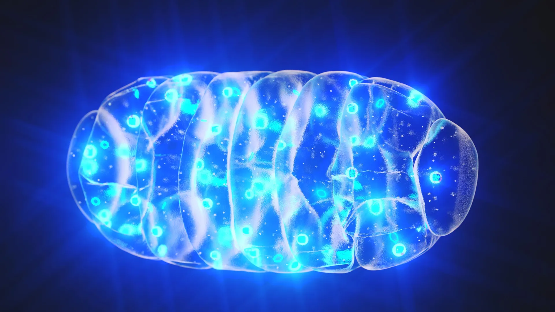 Mitochondria: The Brain’s Powerhouses Unveiled as Potential Key to Dementia Treatment
