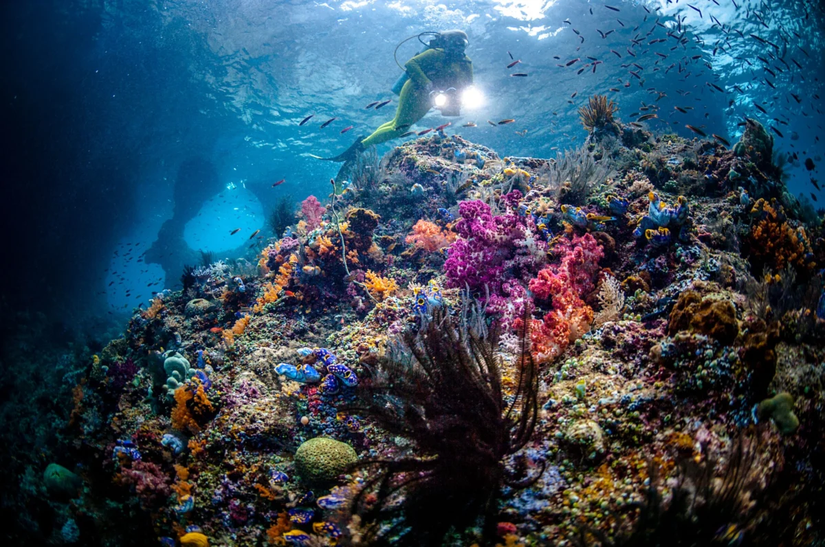 The 20 Best Snorkeling Spots in the World