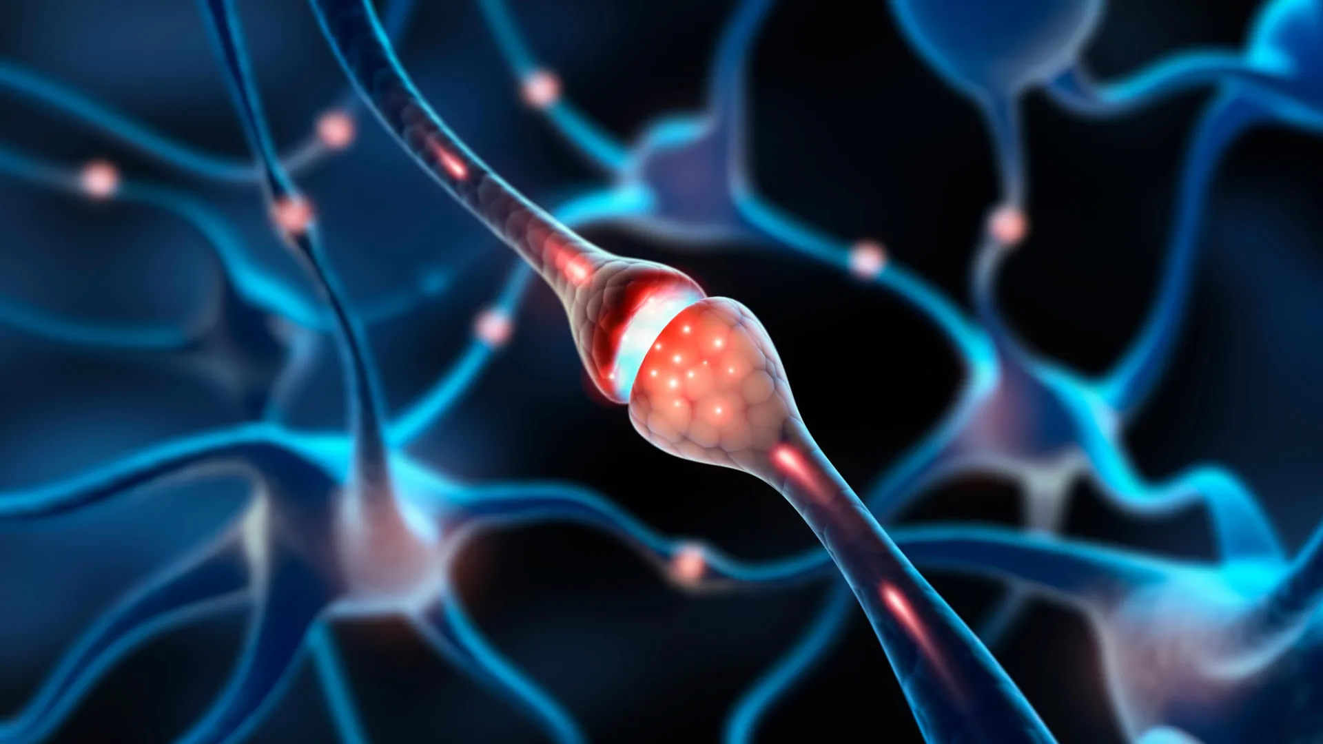 The Adult Brain Holds Millions of Silent Synapses, Ready to Forge New Memories