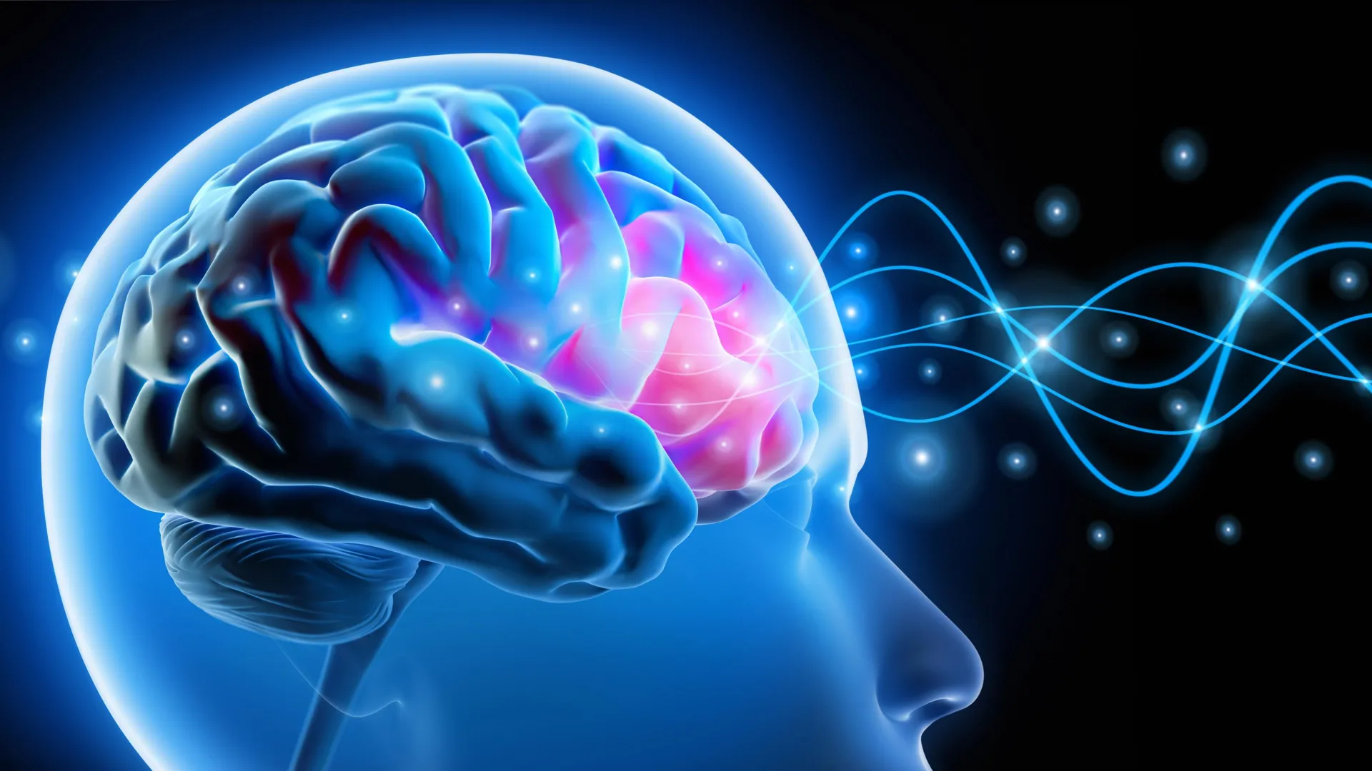 A Specific Brain Circuit Identified as a Key Driver of Anxiety, Depression, and Social Withdrawal