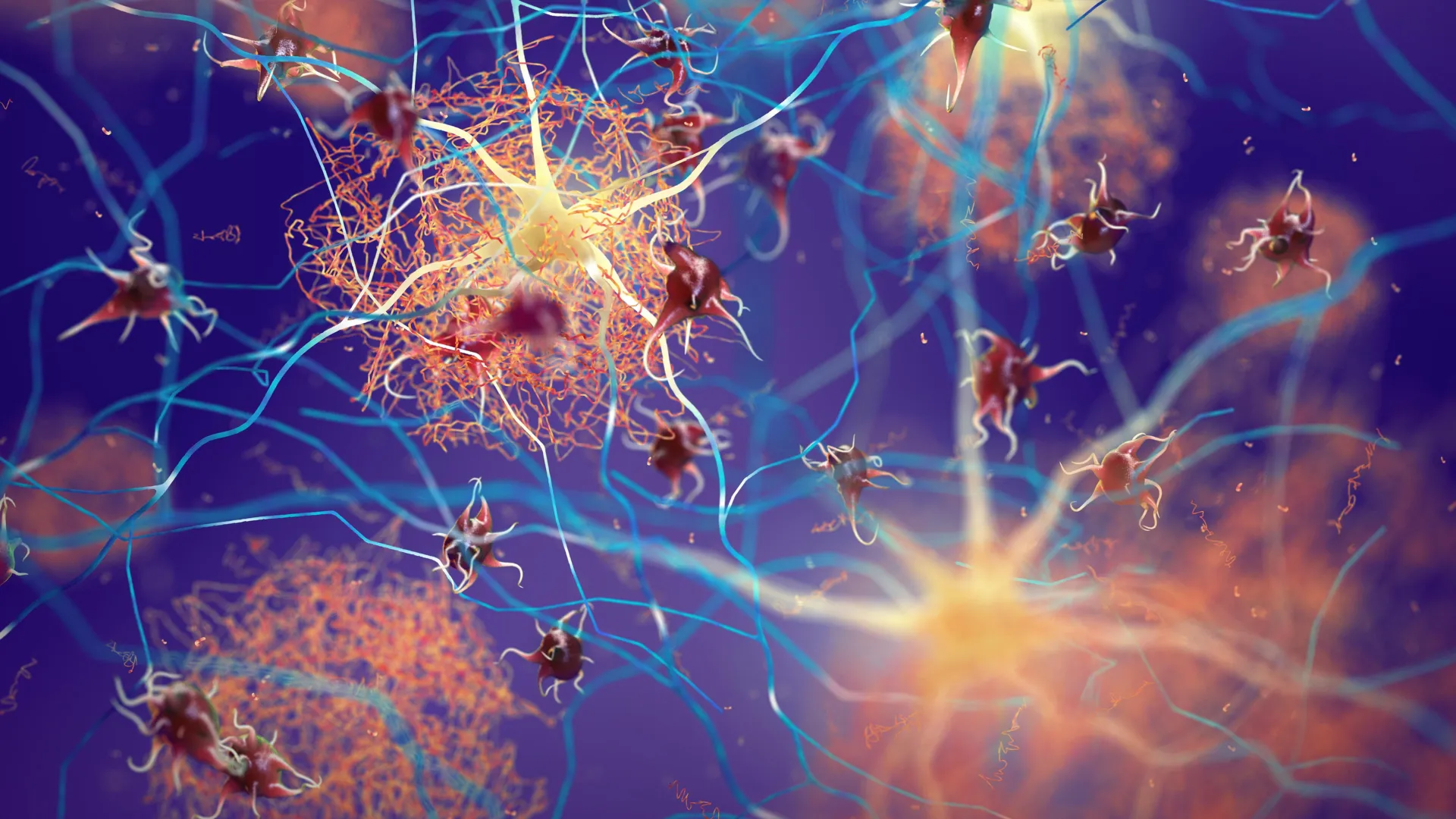 Baylor College of Medicine Scientists Uncover Tubulin’s Protective Role Against Neurodegenerative Protein Aggregation