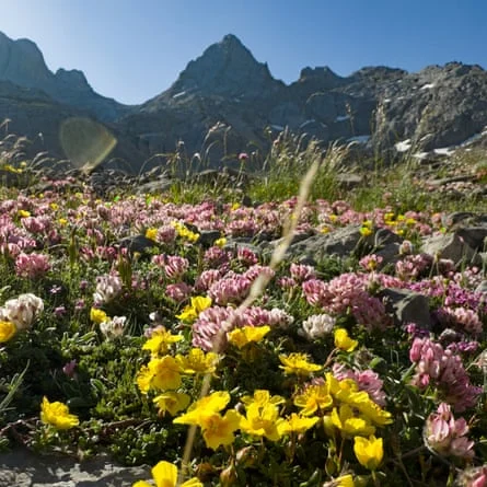 Exploring the Picos de Europa: A Journey Through Spain’s Majestic Peaks and Hidden Worlds