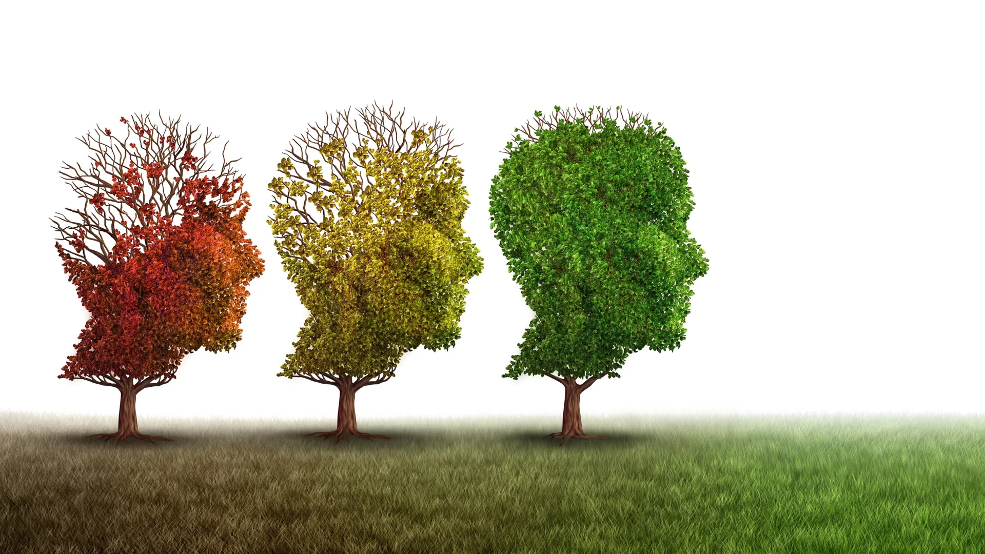 Monash University Researchers Uncover Promising Copper-Based Therapeutic Avenue for Alzheimer’s Disease