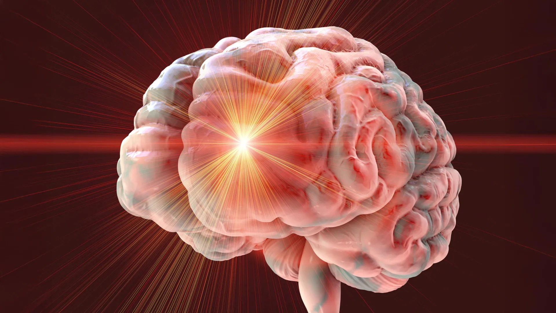 The Anti-Aging Drug Combination Dasatinib-Quercetin Shows Troubling Brain Damage in Mice, Casting Shadow on Longevity Research