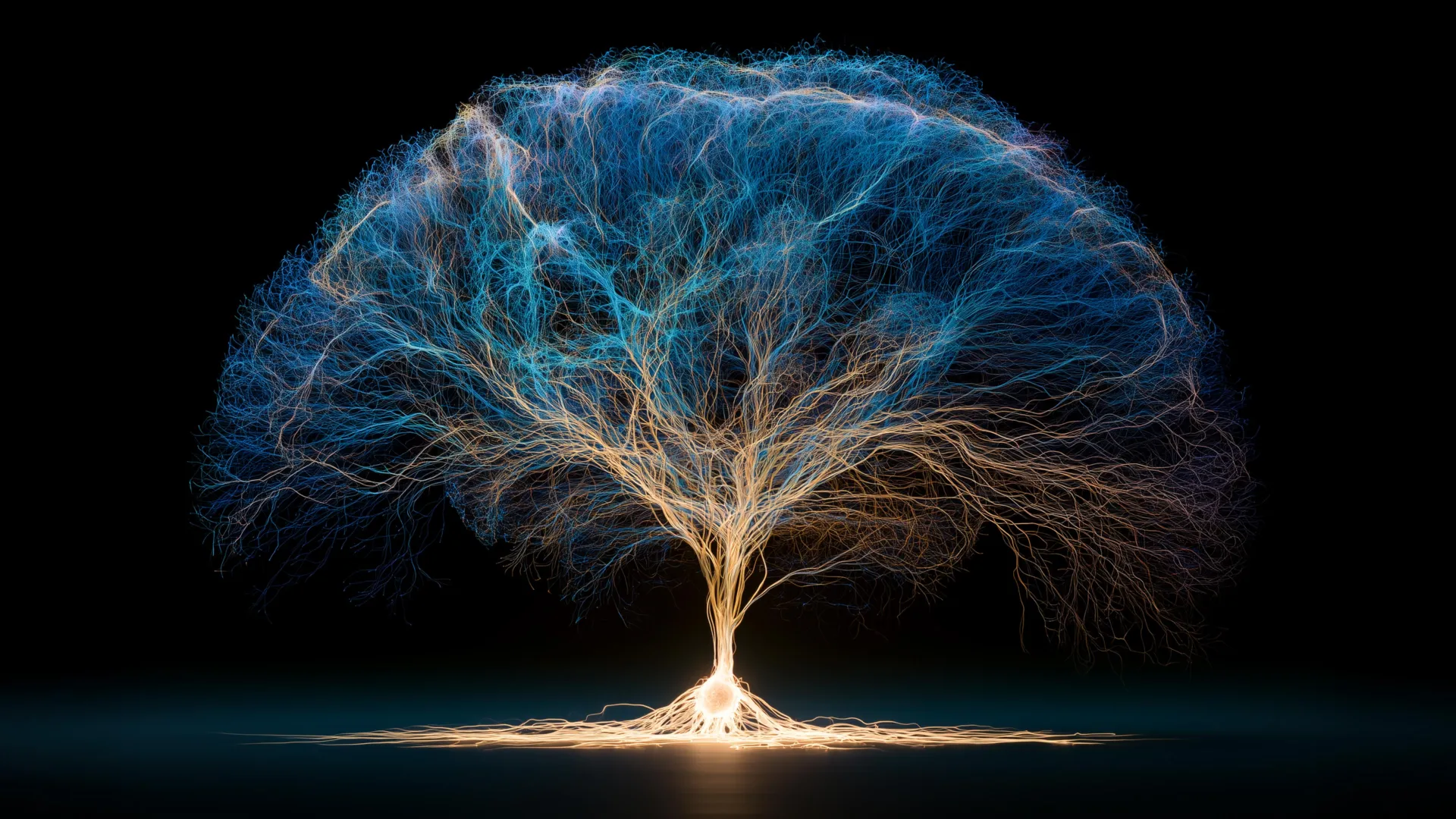The Astonishing Blueprint: How Brain Cells Find Their Place in a Universe of Billions