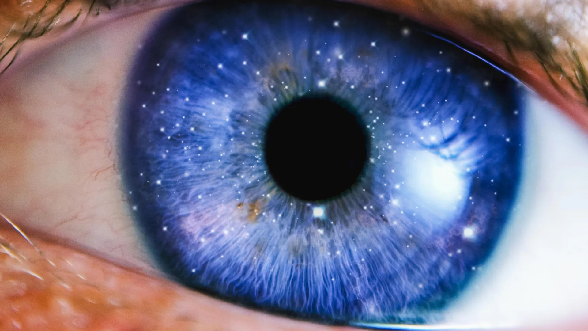 The Universe May Harbor Consciousness Beyond Earthly Biology