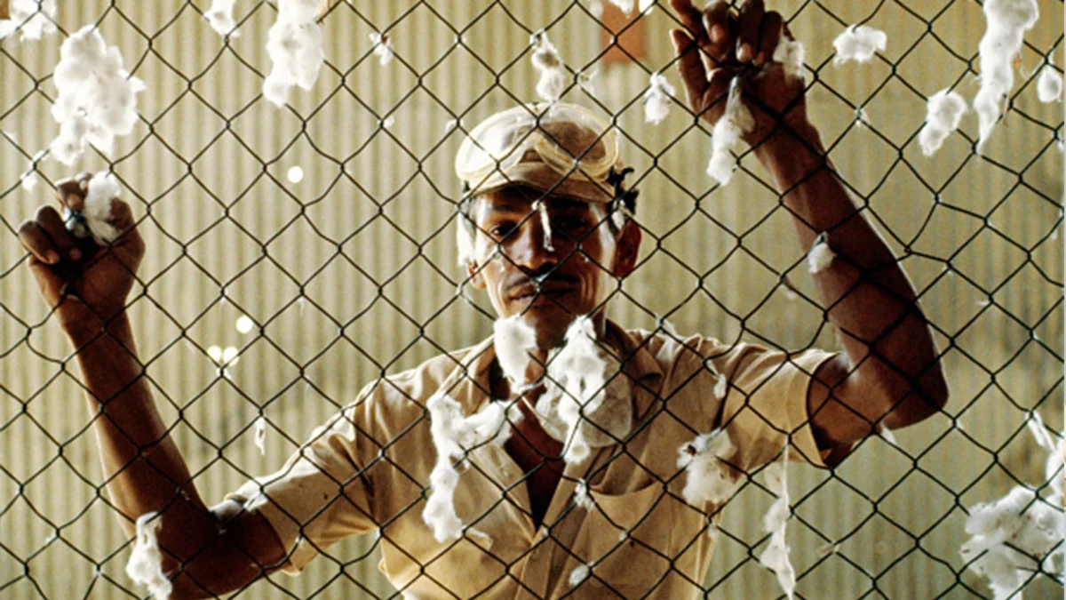 Beyond the Seams: Fashion’s Interconnected Sustainability Challenges Demand Integrated Solutions