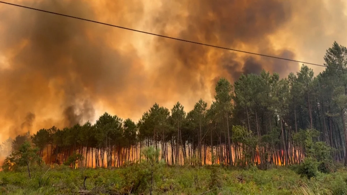Bordeaux Wildfire Devastates Thousands of Hectares, Forces Mass Evacuations