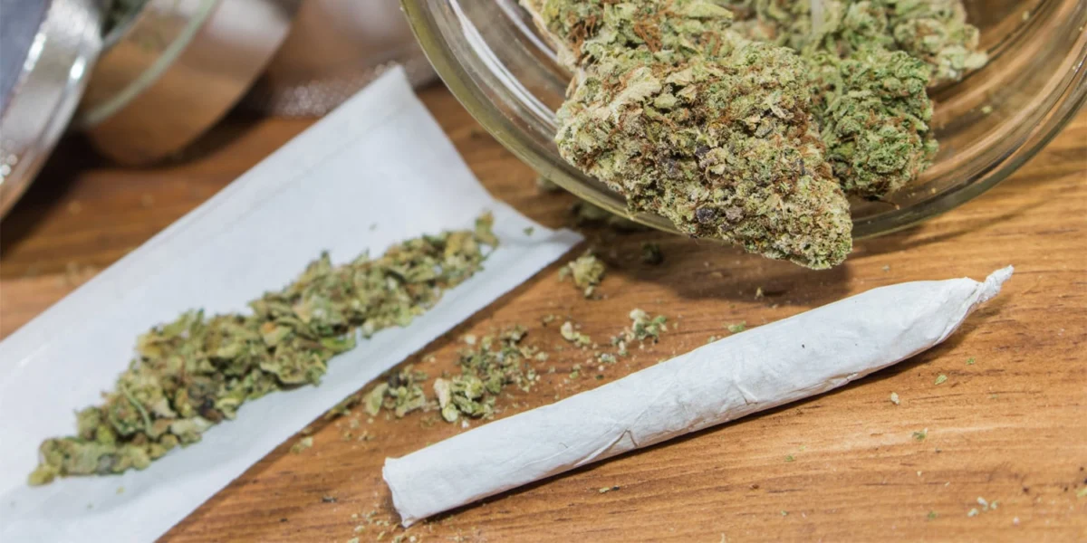Cannabis use, cognitive function and dementia risk in older adults: observational and genetic analyses