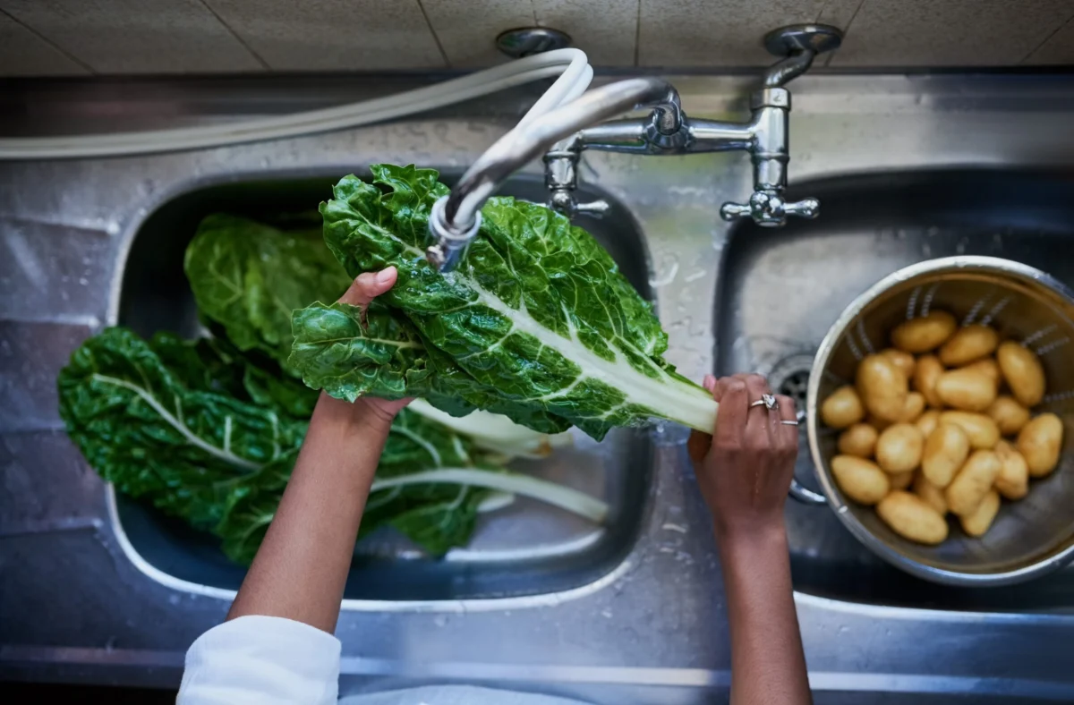Expanding Cyclospora Outbreak Across 34 States Prompts Federal Investigation and Public Health Warnings