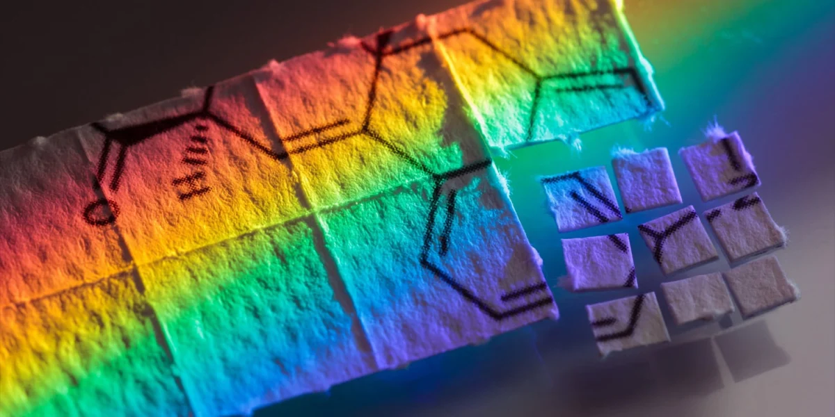 How LSD reshapes brain circuitry to blur the lines between perception and thought