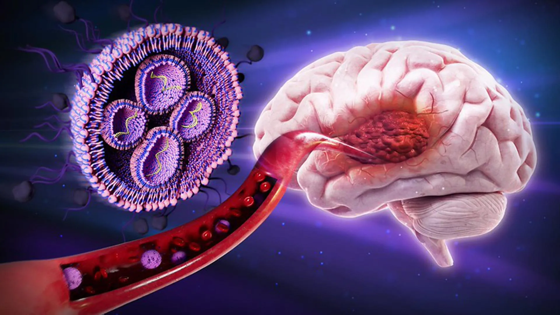 Oregon State University Researchers Unveil Novel Sugar-Coated Nanoparticles Showing Promise Against Aggressive Glioblastoma