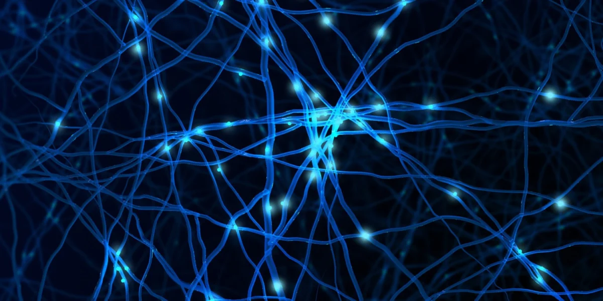SORLA up-regulation suppresses pathological effects in aged tauopathy mouse brain