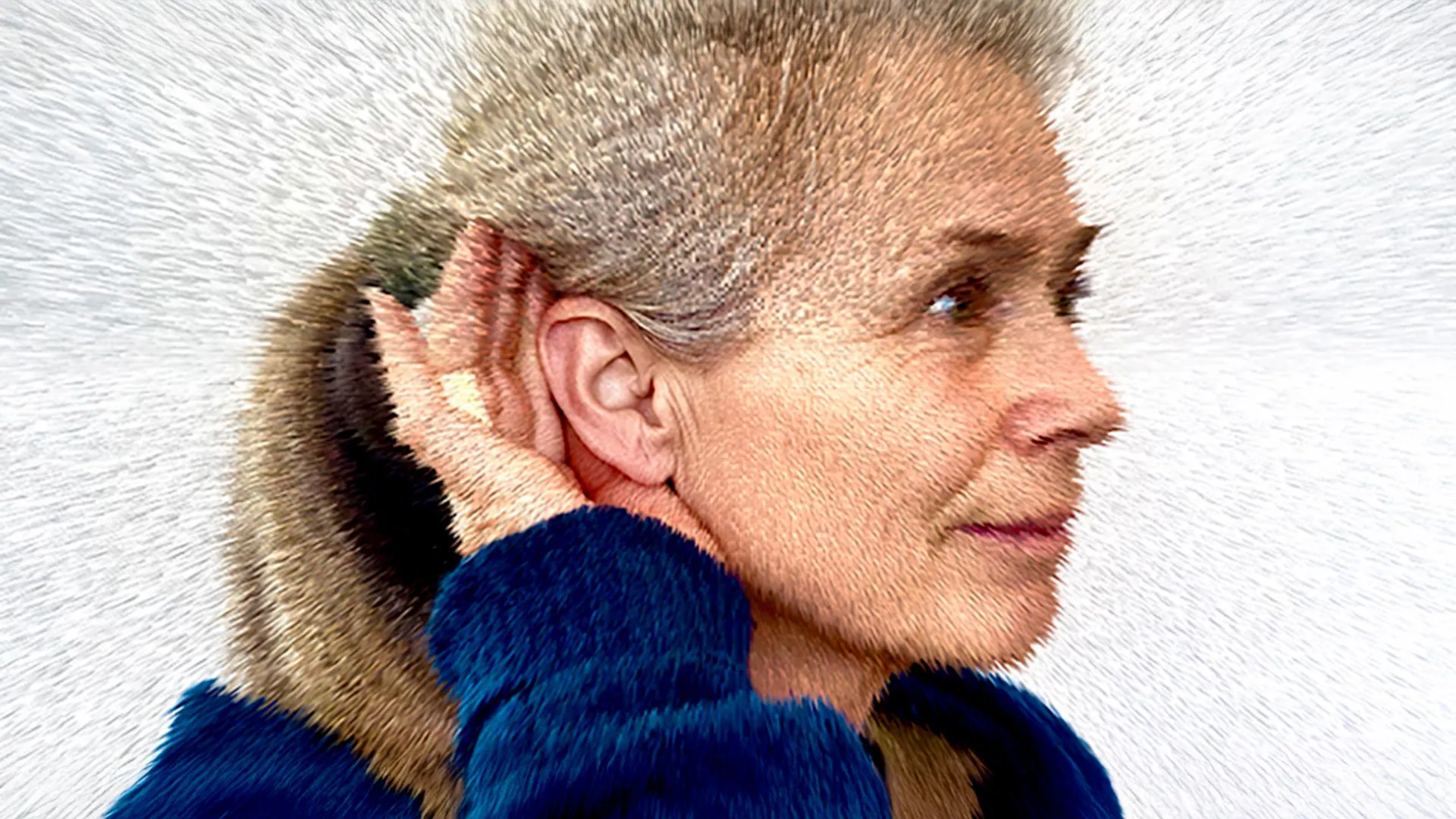 The Enigmatic Hum: Decades-Long Quest to Unravel a Global Auditory Mystery