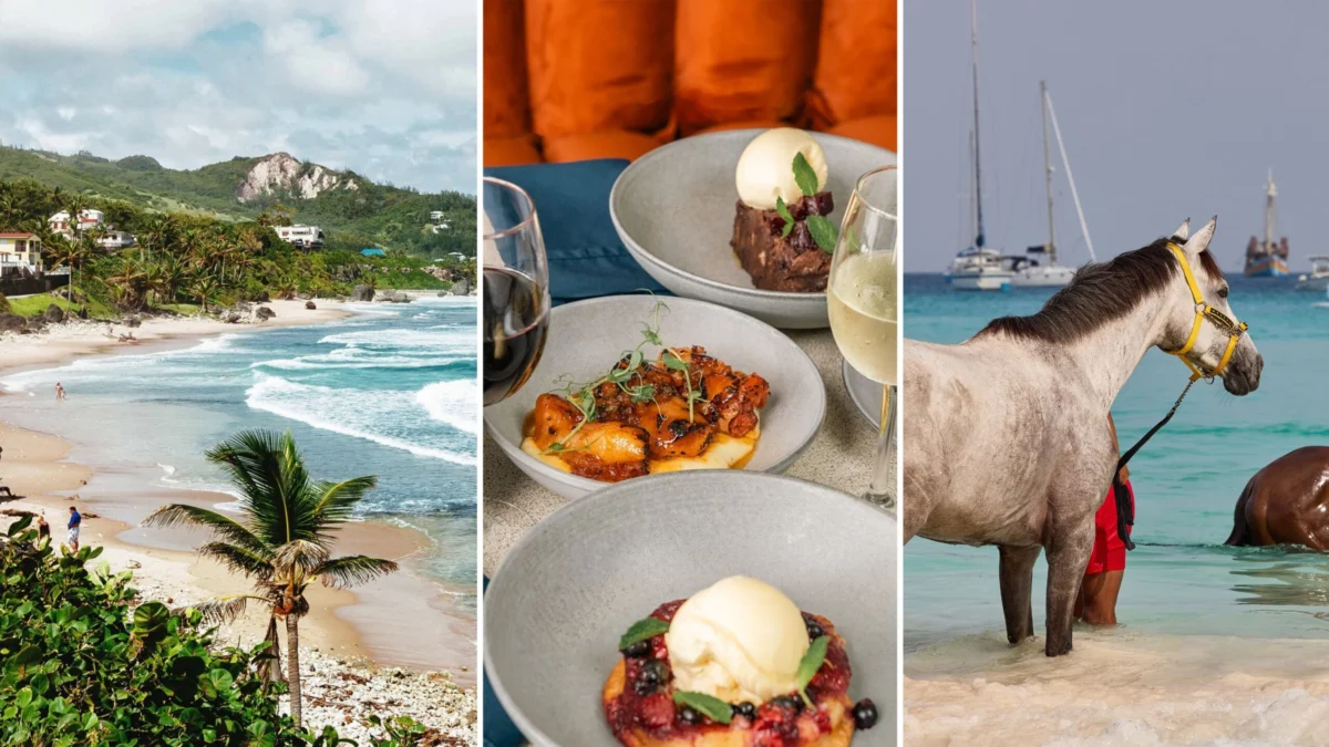 The Evolution of Barbados A Transition Toward Authentic Caribbean Luxury and Sustainable Tourism