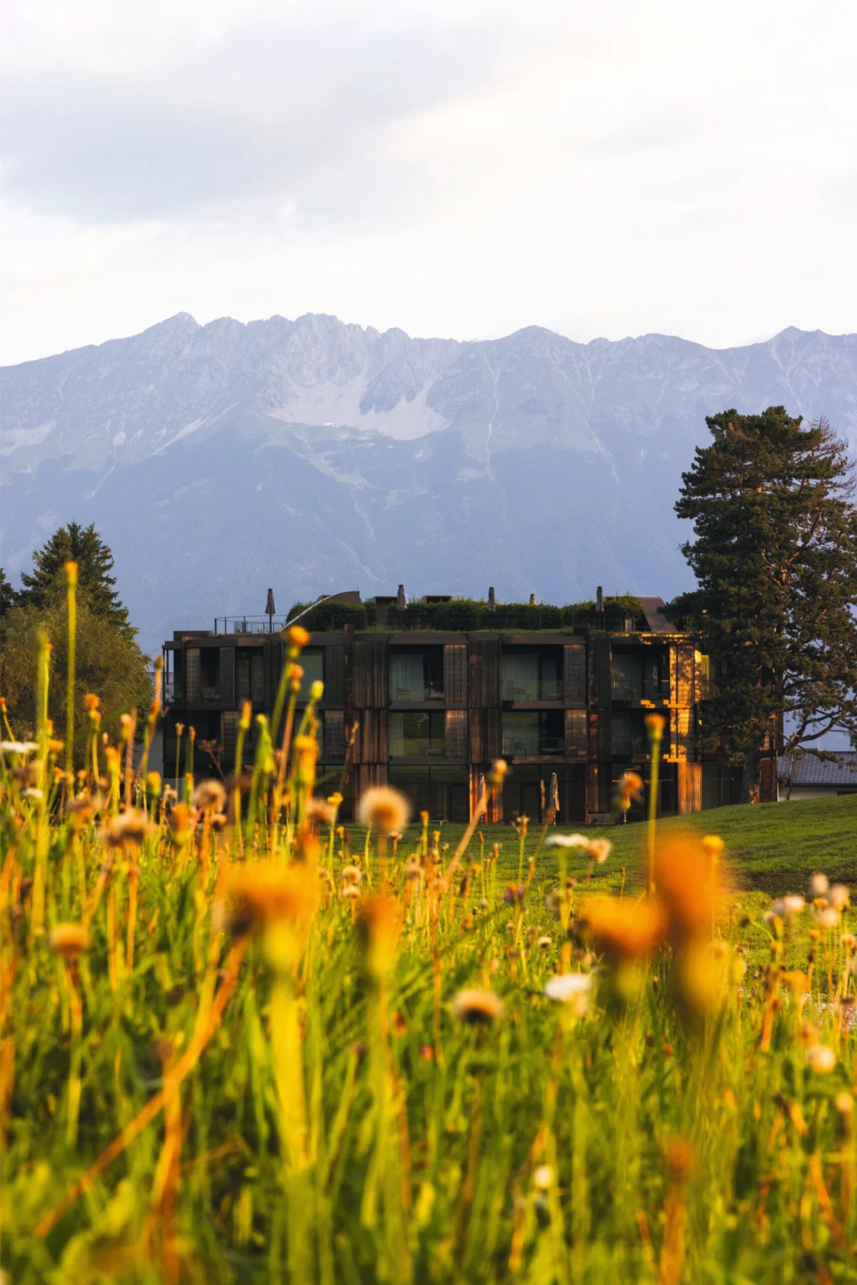 The Evolution of Medical Wellness: How Luxury Retreats Are Adapting to the Global Rise of Weight-Loss Medications
