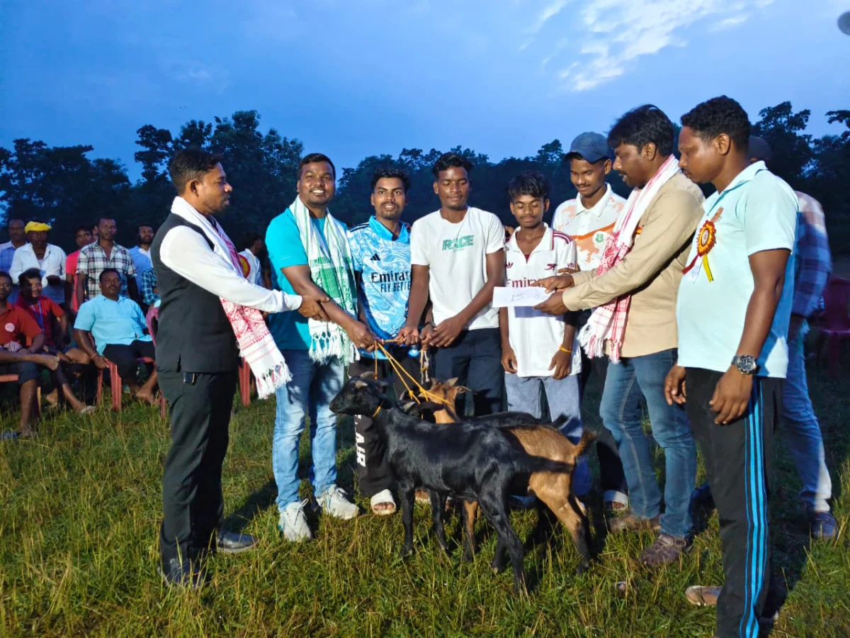 Tirilbasa’s Goats: A Unique Trophy Echoes Global Football Frenzy in Rural India