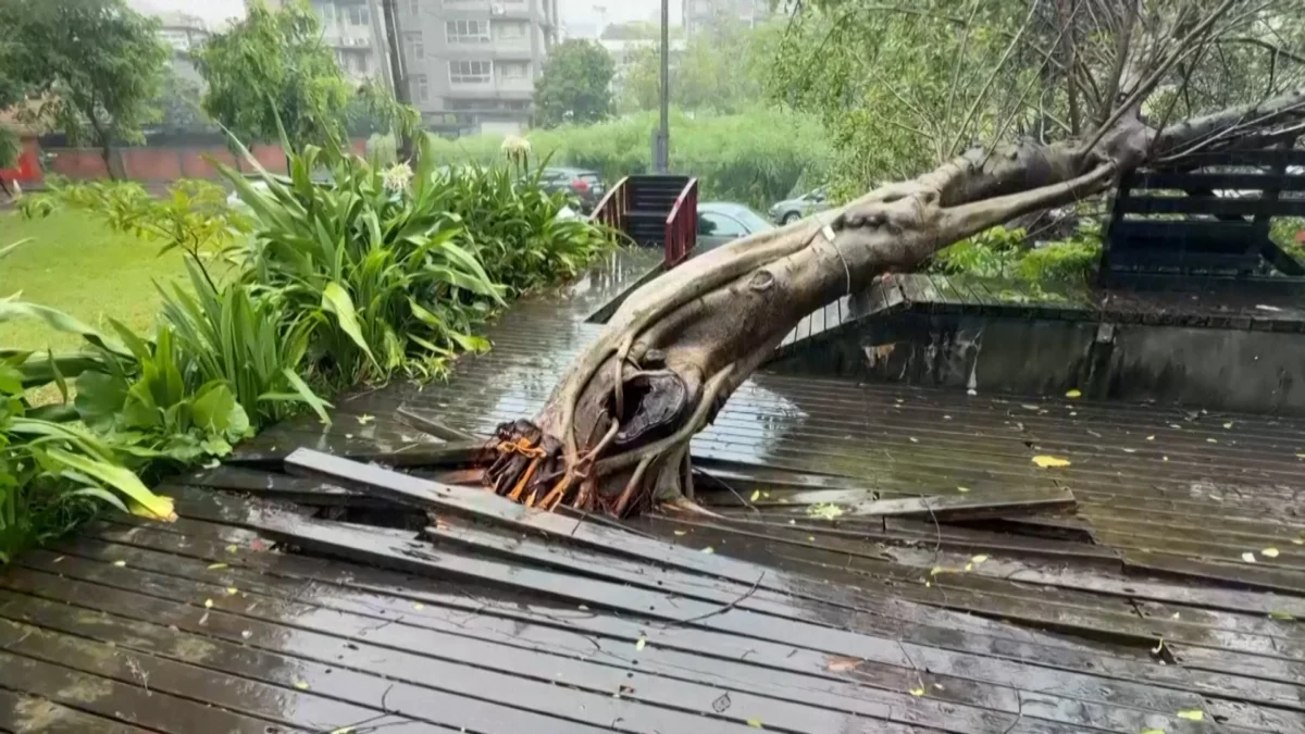 Typhoon Bavi Intensifies Preparations Along China’s East Coast After Skirting Taiwan and Impacting Japan’s Southern Islands