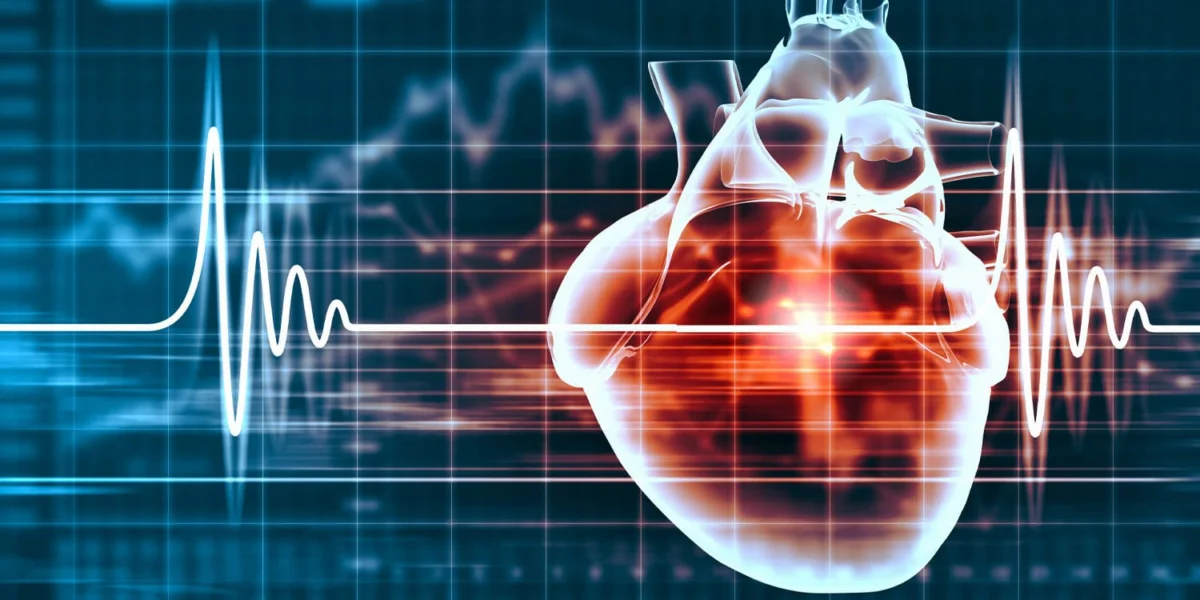 Adventurous and antisocial hearts: Investigating the causality of associations between antisocial behaviour, resting heart rate and sensation seeking