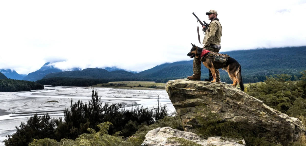 Behind the Scenes of Heart of the Beast: How New Zealand Stood In for the Alaskan Wilderness in Brad Pitt’s New Survival Drama