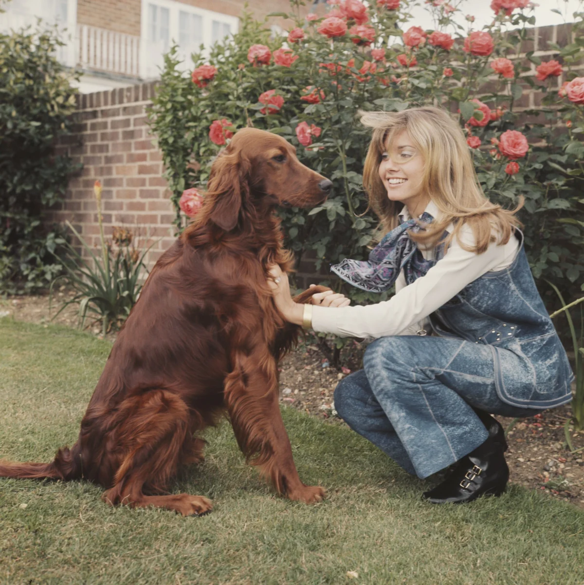 Beyond the Spotlight: The Private Sanctuaries and Enduring Legacy of Olivia Newton-John