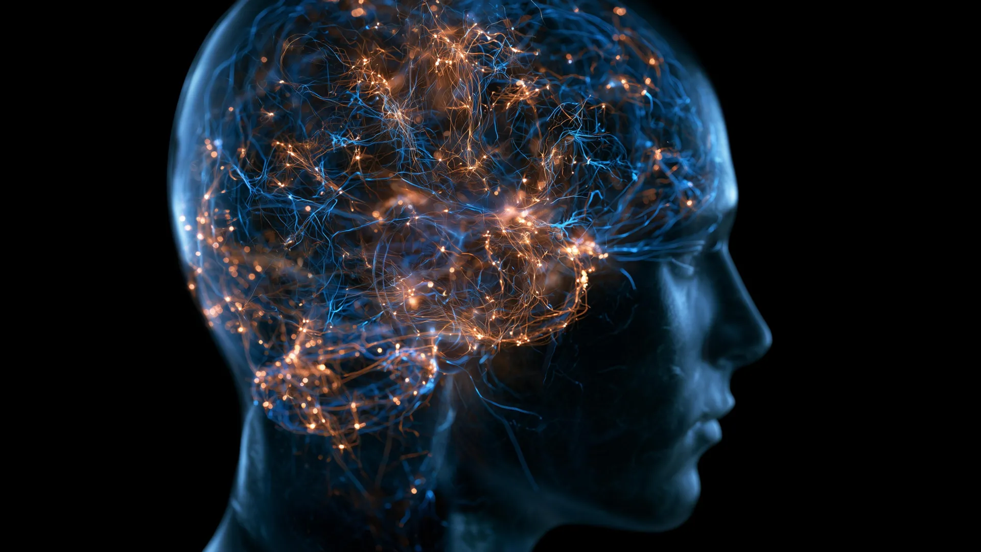 Midlife Brain Genome Remodeling Offers New Insights Into the Origins of Neurodegenerative Disease