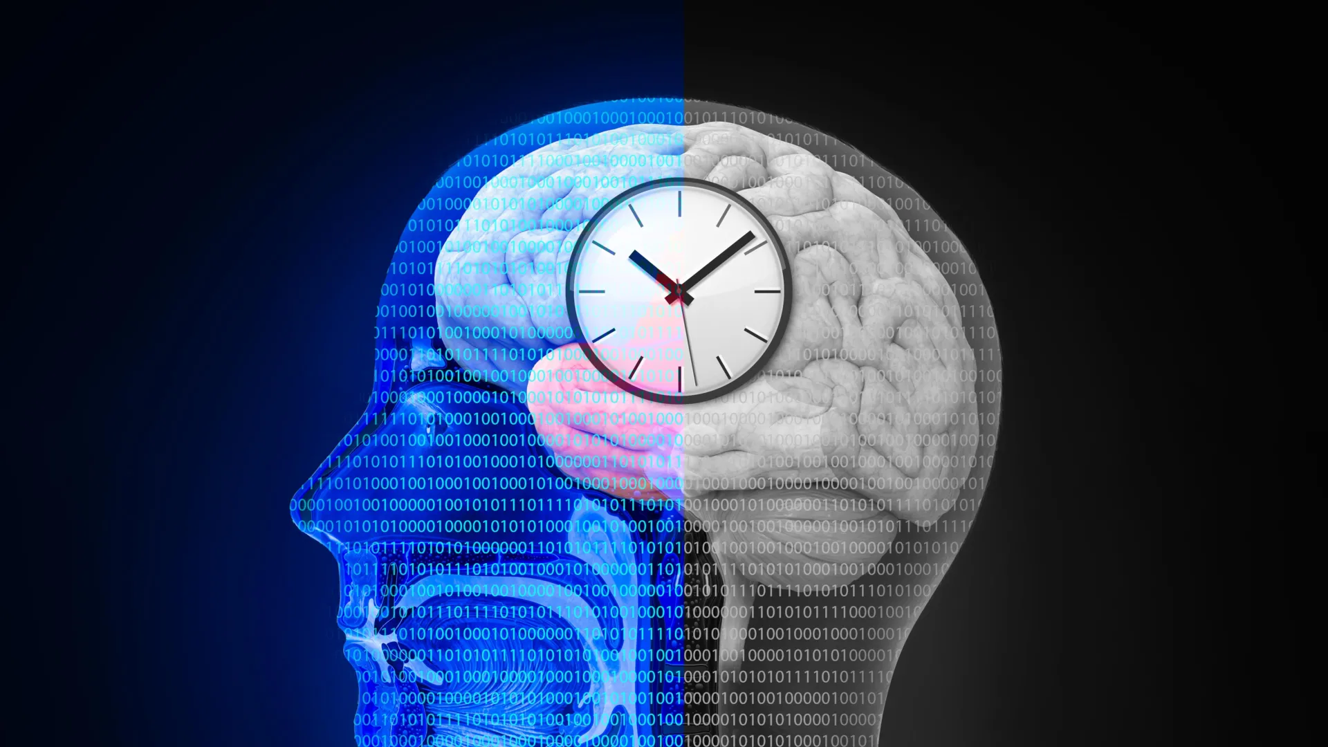 Resetting the Internal Clock: New Research Suggests Circadian Rhythms are Key to Stroke Recovery