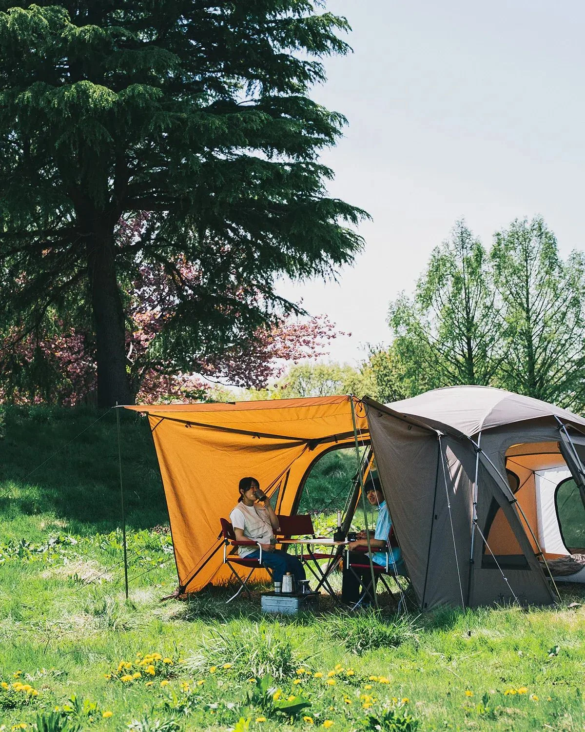 Snow Peak Discount Codes and Deals: How to Save on Japanese-Designed Outdoor Gear