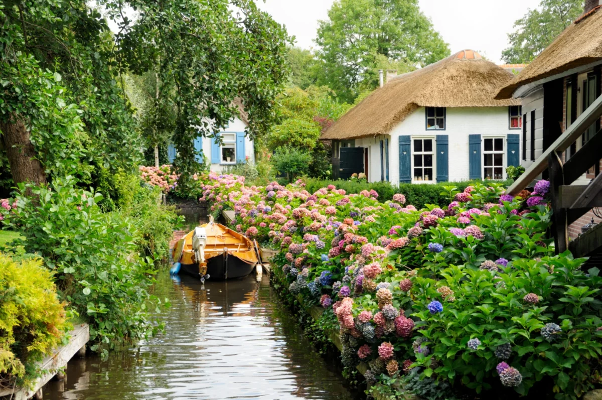 The Timeless Art of Thatching: How Ancient Craftsmanship Shapes Modern Rural Landscapes across the Globe