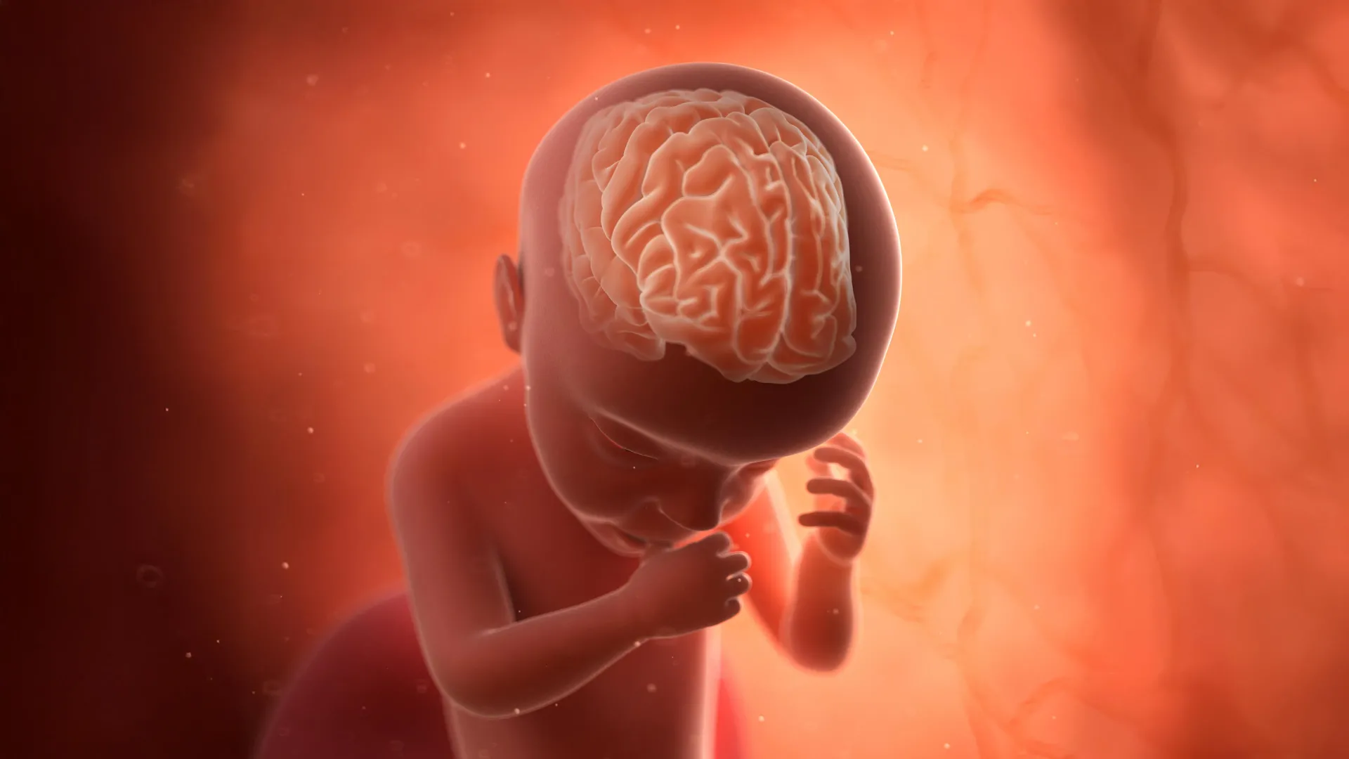 Congenital TORCH Infections Linked to Significantly Higher Risks of Autism and Intellectual Disability According to New Karolinska Institutet Study