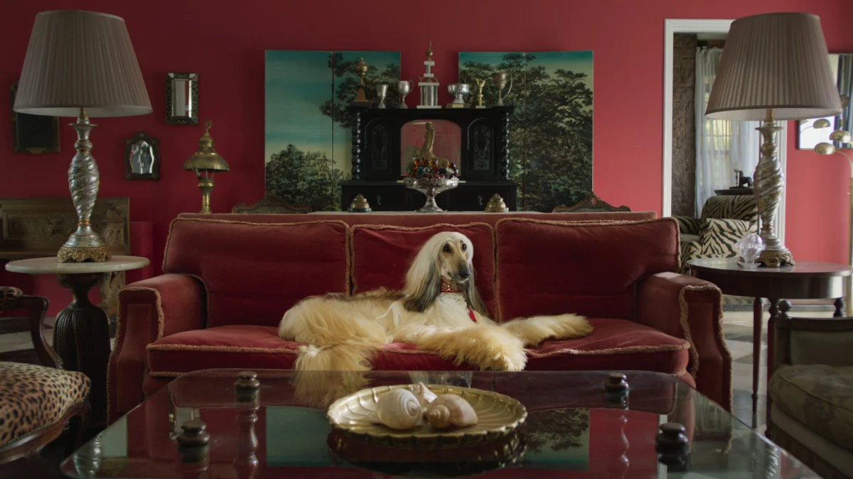 Federico Borgia Explores Avarice, Class Divides, and Canine Inheritance in Solo Directorial Debut Prince at the 70th BFI London Film Festival
