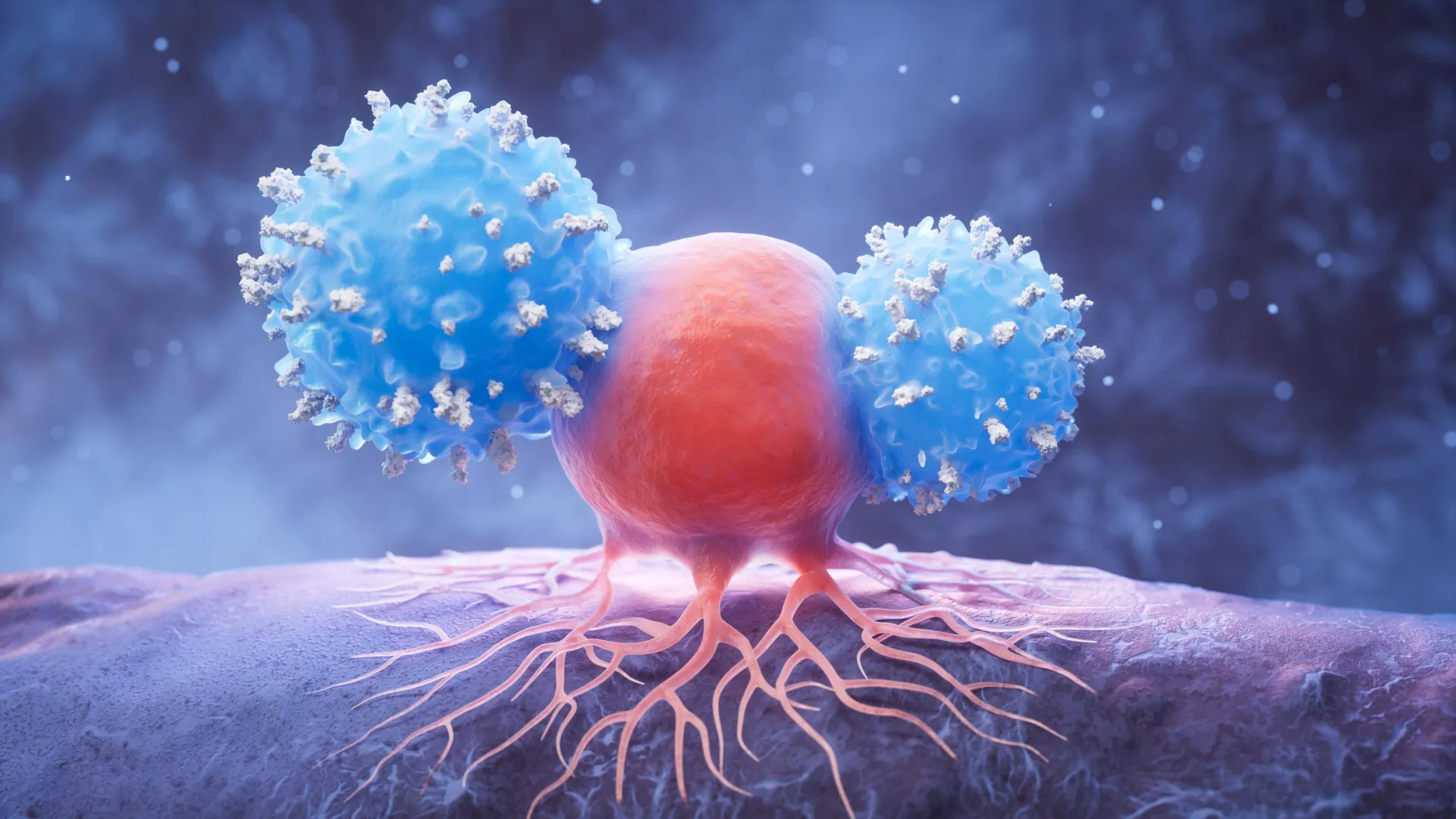 High Dose Vitamin B3 Shows Potential as a Novel Adjunct Therapy for Aggressive Glioblastoma