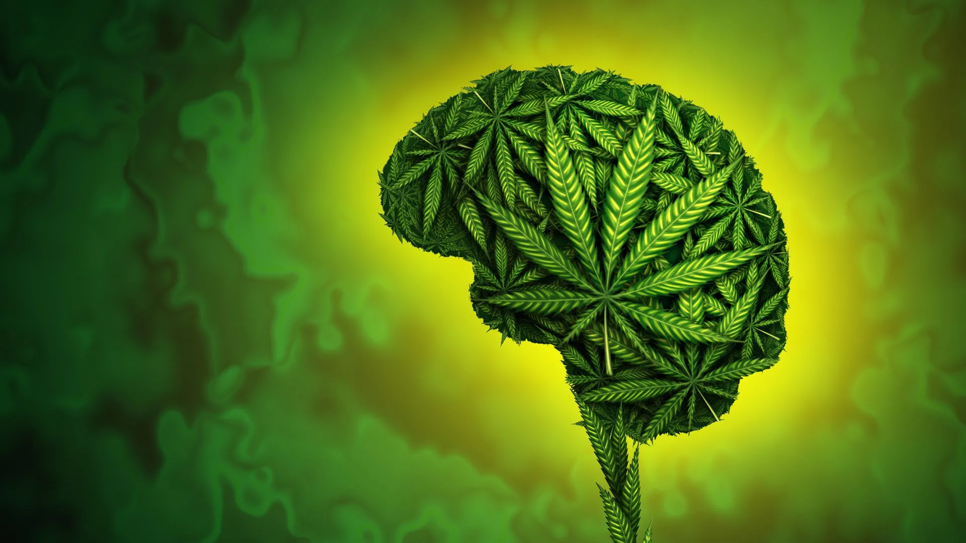 New study from King’s College London links cannabis use to increased risk of committing and experiencing violence