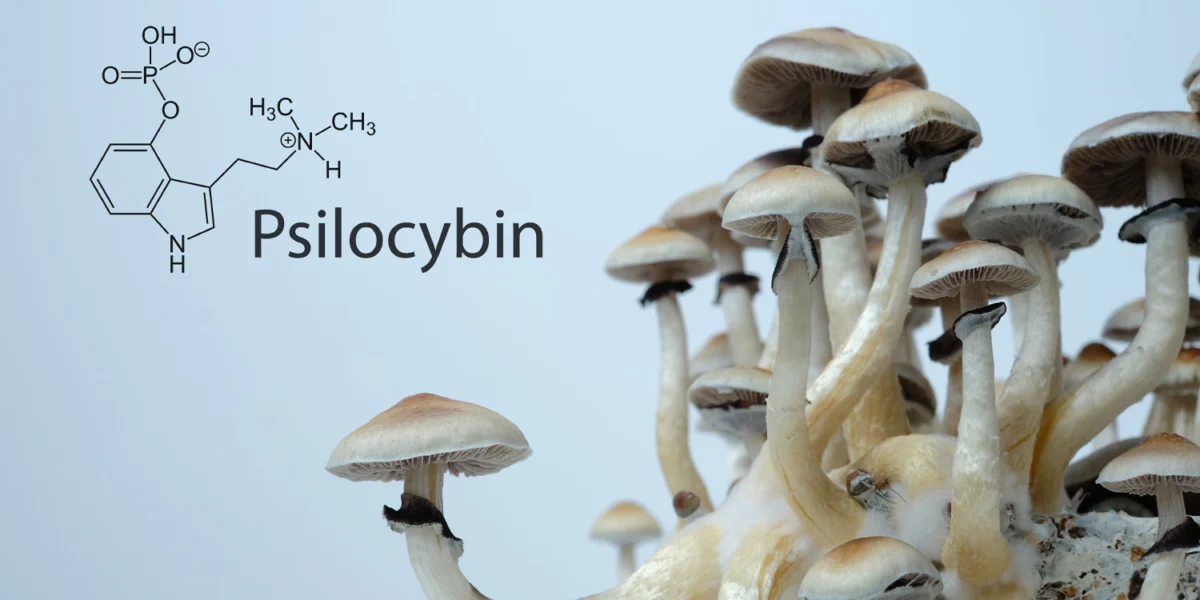 Pilot study of psilocybin in patients with post-treatment lyme disease