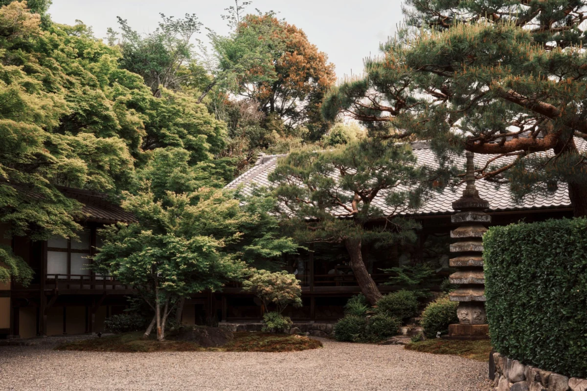 Suiran: A Luxury Collection Hotel and the Art of Japanese Culinary Immersion