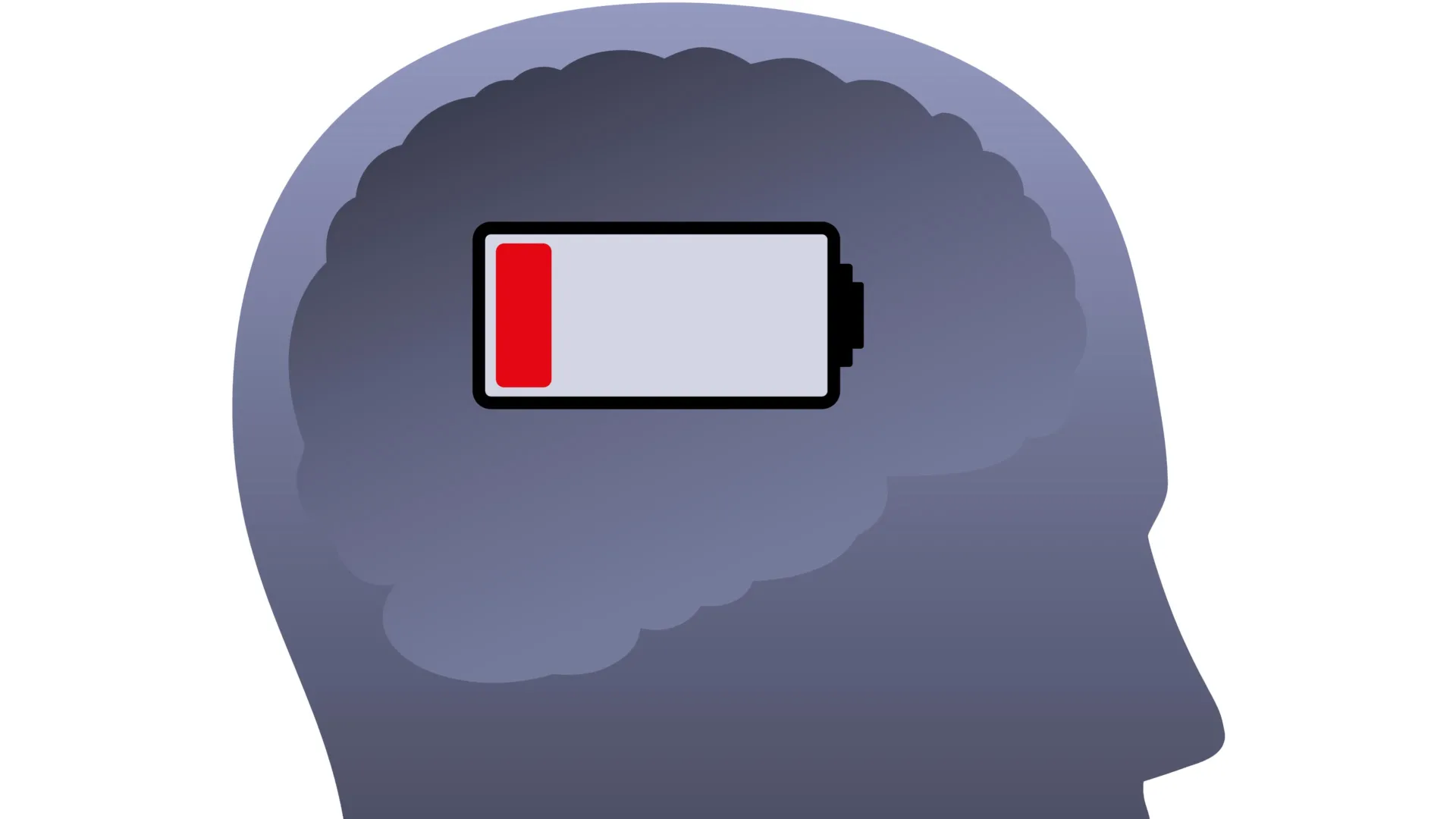 The Brains Energy Paradox During REM Sleep Reveals New Insights Into Metabolic Efficiency